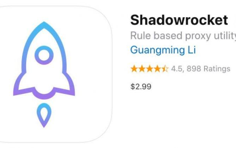 Shadowrocket 分流规则设置教程