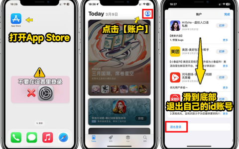 苹果 iPhone/IPad 小火箭 Shadowrocket下载教程